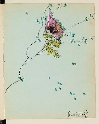 25